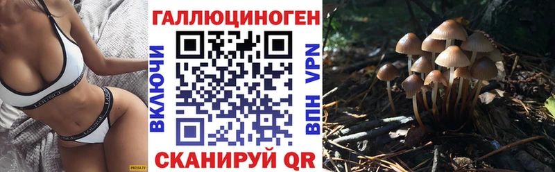 Галлюциногенные грибы прущие грибы Абаза